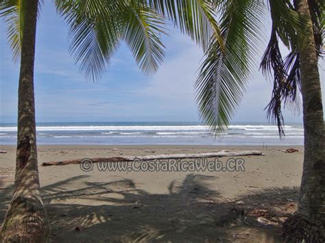 Matapalo Beach Costa Rica Costa Rica Photos