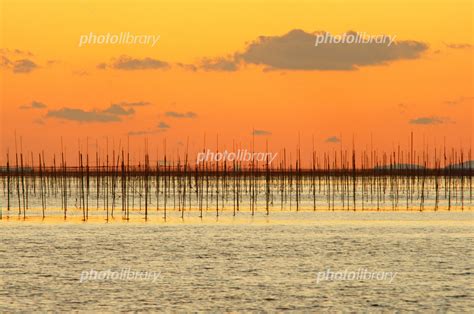 有明海の海苔網 写真素材 5278616 フォトライブラリー Photolibrary