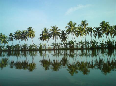 Backwaters Of Alappuzha By Houseboat Tranquil Backwaters Kerala