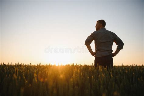 Back View Of Adult Man Farmer Stand Alone And Look At Sunset Or Sunrise