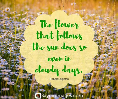 42 Beautiful Flower Quotes Word Porn Quotes Love Quotes Life Quotes