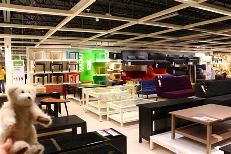 Willow Winters in Florida: IKEA Tampa