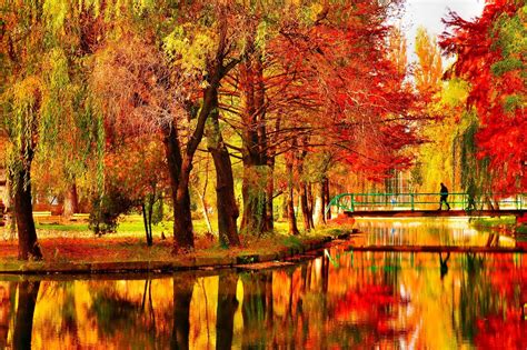 Pretty Fall Backgrounds (51+ images)