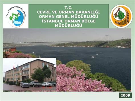 PPT t c Çevre ve orman bakanliği orman genel müdürlüğü İSTANBUL