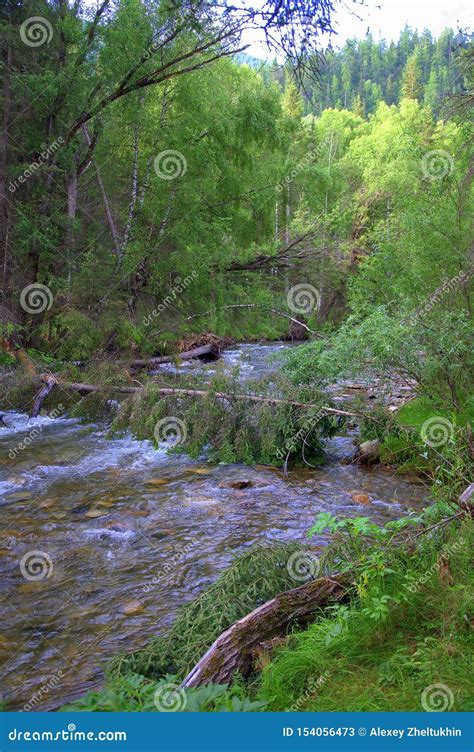 The Tumultuous Sema River Flows Through The Forest Into The Valley