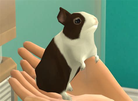 The Sims 4 Bunnies And Squirrels And Chipmunks Oh My Simsvip