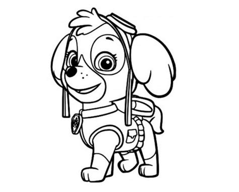 Explore 623989 free printable coloring pages you can use our amazing online tool to color and edit the following zuma paw patrol coloring pages. Paw Patrol Zuma Coloring Pages at GetColorings.com | Free ...