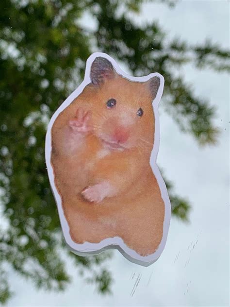 Hamster Making Peace Sign Meme Etsy