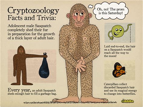 Cryptozoology Facts And Trivia 1 Ive Been Playing Around Flickr