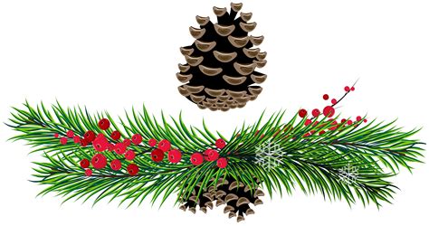 Pine Branch Tree Branches Pine Cone Drawing Contemporary Christmas