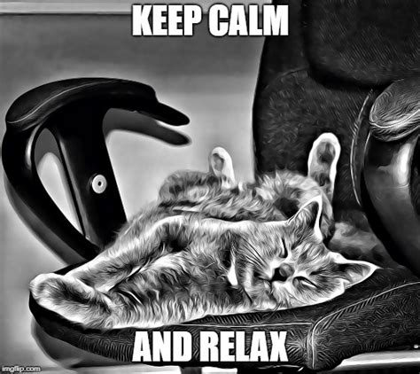 Relaxing Cat Meme