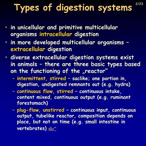 Ppt Digestion Powerpoint Presentation Free Download Id4919544