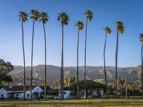 Santa Barbara Palm Trees Sunset Southern California Beach Coastline