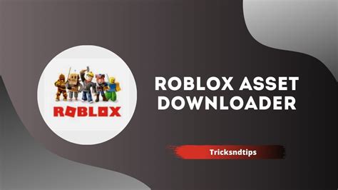 Roblox Asset Downloader 100 Working Method And Tricks 2023