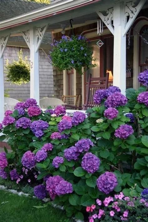 35 Beautiful Flower Beds Design Ideas In Front Of House Hydrangea