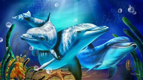 49 Free 3d Dolphin Wallpaper On Wallpapersafari