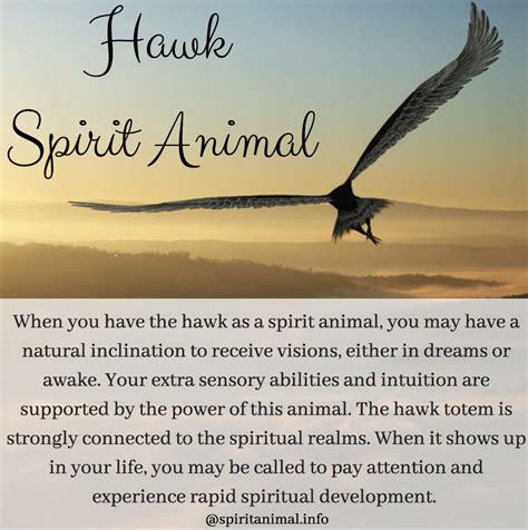 Hawk Spirit Animal Meaning Hawk Spirit Animal Spirit Guides