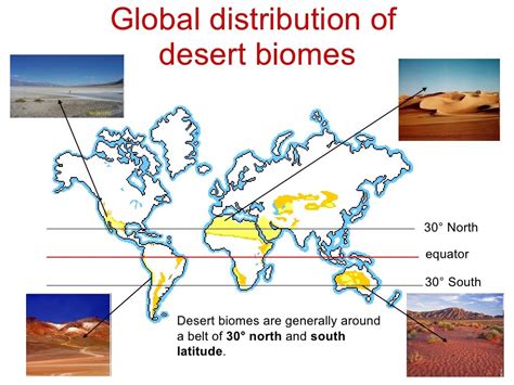 O Deserto é Um Bioma Que Se Localiza Educa