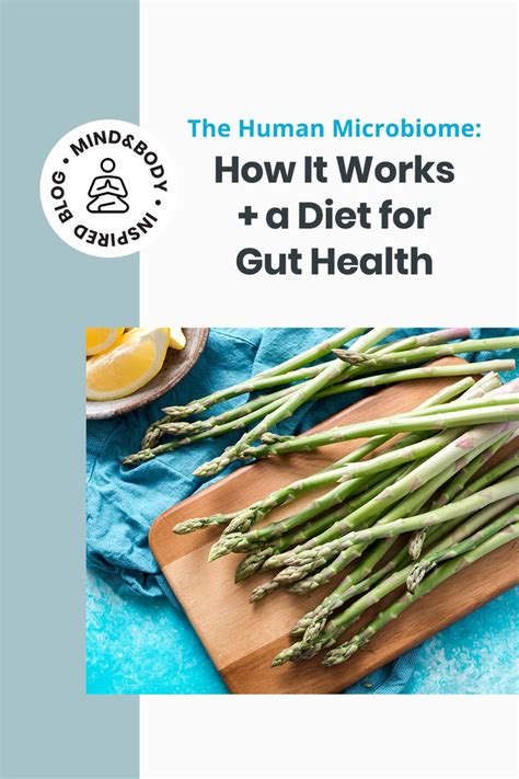 The Human Microbiome How It Works A Diet For Gut Health Gut Health
