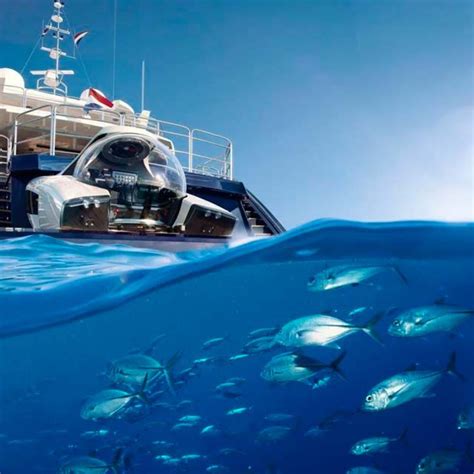 We offer galapagos islands cruises on board of nemo i, nemo ii and nemo iii catamarans. U-BOAT WORX NEMO: the lightest submarine in the world