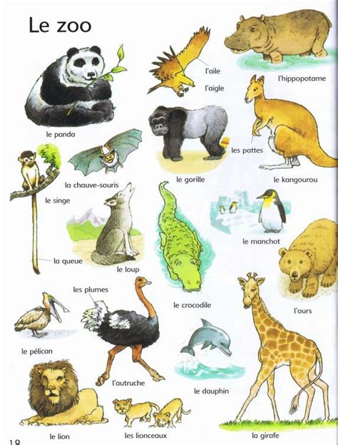 Zoo Animals List In French