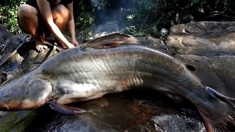 Intip Cewek Cantik Mandi Di Sungai Nemu Ikan Besar Youtube