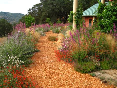 A Hopland Ca Garden Filled With Color And Life Kate Frey