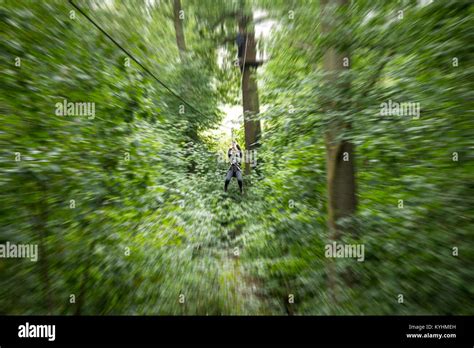 Enfield Go Ape Trent Country Park London Borough Of Enfield North