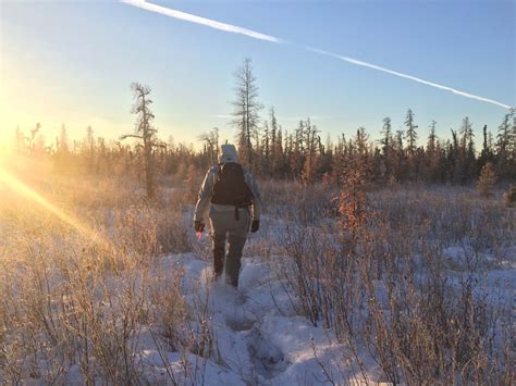 Largest Protection Of Boreal Forest In The World Grows Even Bigger