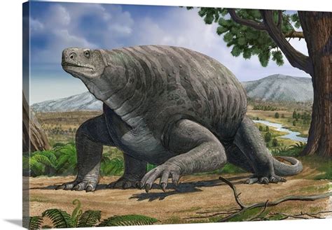 This Permian Synapsid Named Cotylorhynchus Was Probably Not The