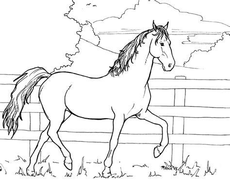 40 Desenhos De Cavalo Para Imprimir E Colorir Online Cursos Gratuitos