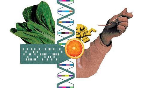 Making Sense Of Snps Natural Health Tips Genetic Variation Mthfr