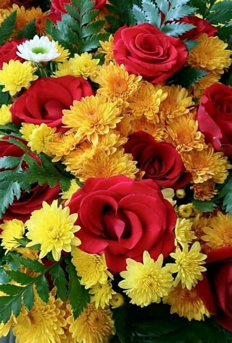 640x1136 iphone 5 wallpapers hd retina ready stunning wallpapers emoji · 1920x1200 smiling wallpapers top smiling backgrounds wallpaperaccess · 1080x1920 smile . Sign in | Happy flowers, Rose flower wallpaper, Beautiful ...