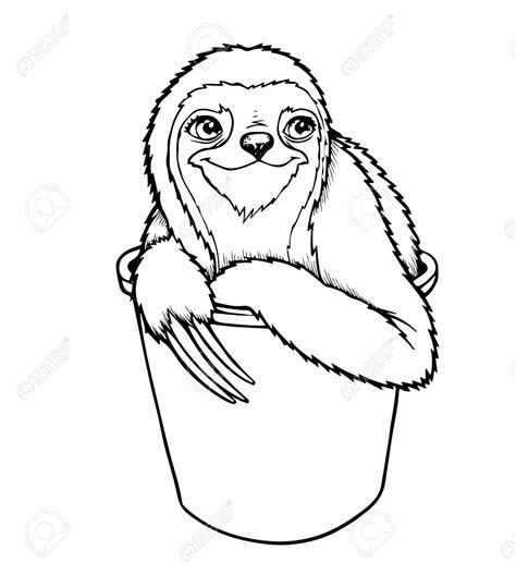 We did not find results for: Three toed sloth clipart - Clipground