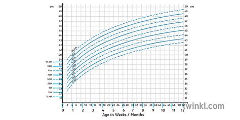 Boys Head Circumference Percentile Chart Science Ks4 Illustration Twinkl