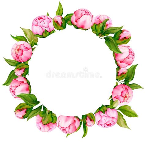 Round Frame Of Pink Peonies Watercolor Border Stock Illustration