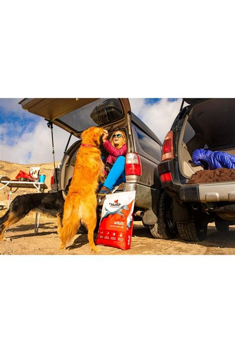 4.7 out of 5 stars. Nulo Frontrunner Dry Dog Food for Adult Dogs - Ancient ...