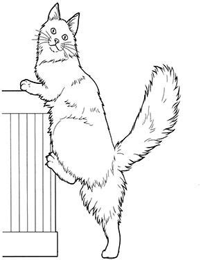 Schildchen mit kürbis, geist, fledermaus und katze. Ausmalbild Katze klettert zum Ausmalen. #Ausmalbilder | # ...