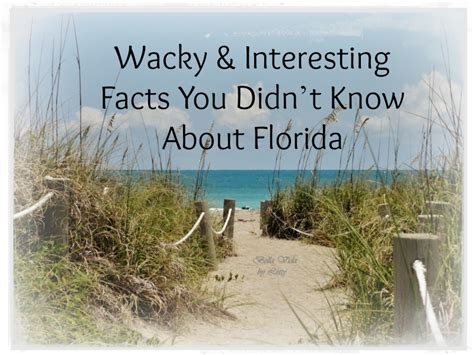 Wacky And Interesting Facts You Didnt Know About Florida Bella Vida