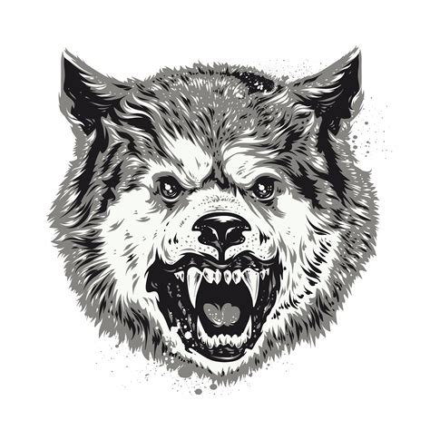 Wolf Head Isolated On White 374722 Vector Art At Vecteezy