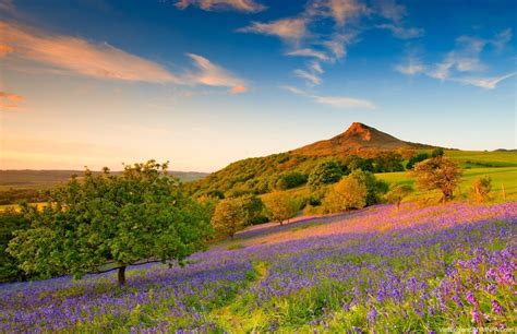 Spring travel to Great Britain: 6 reasons this is a top time to visit