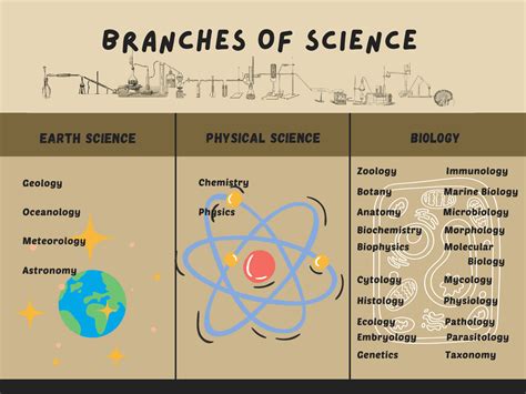 It Is The Branches And Sub Branches Of Science Docsity