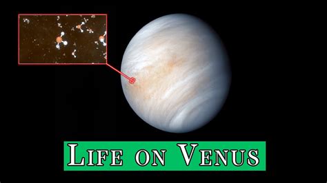 Life On Venus Youtube