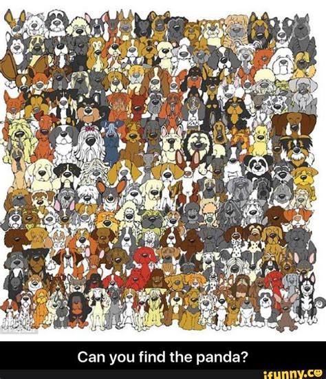 Can You Find The Panda