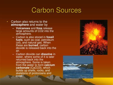 Ppt Where In The World Is Carbon Powerpoint Presentation Free