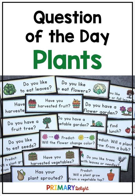 Spring Question Of The Day About Plants And Seeds Question Of The Day