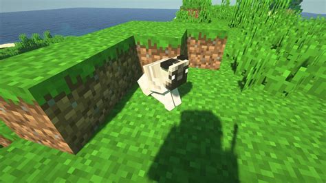 Minecraft Doggy Talents Mod Guide And How To Use Pwrdown