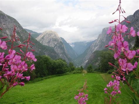Valley of flowers is a mystical romance of epic proportion directed by pan nalin (best known for film samsara). Places To See Before You Die: Valley Of Flowers