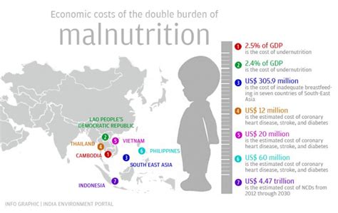 double burden of malnutrition challenges and global approaches for its reduction public