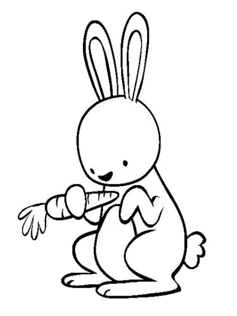 Hình ảnh Cho Bé Tập Tô Màu Chủ đề động Vật Sinh Học Online Bunny